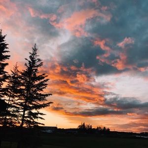 Meet your Posher, Kailey